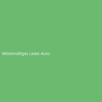 Mittelm&auml;&szlig;iges Leder-Auto