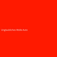 Unglaubliches Wolle-Auto