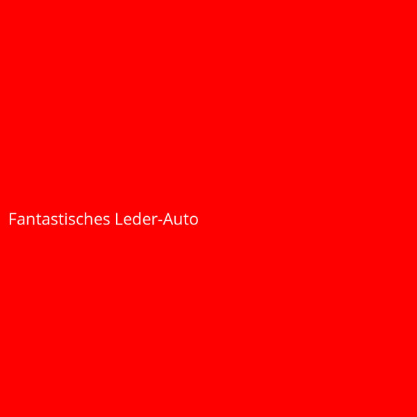 Fantastisches Leder-Auto